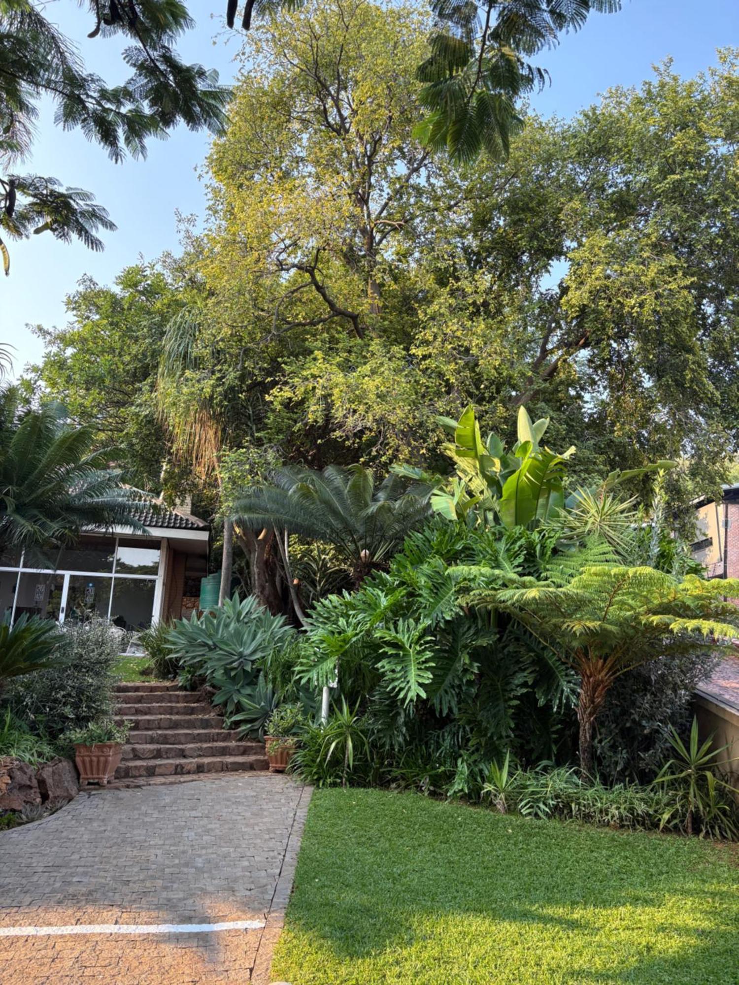 Luxury Upmarket Guesthouse 20 On 4Th Rustenburg Kültér fotó