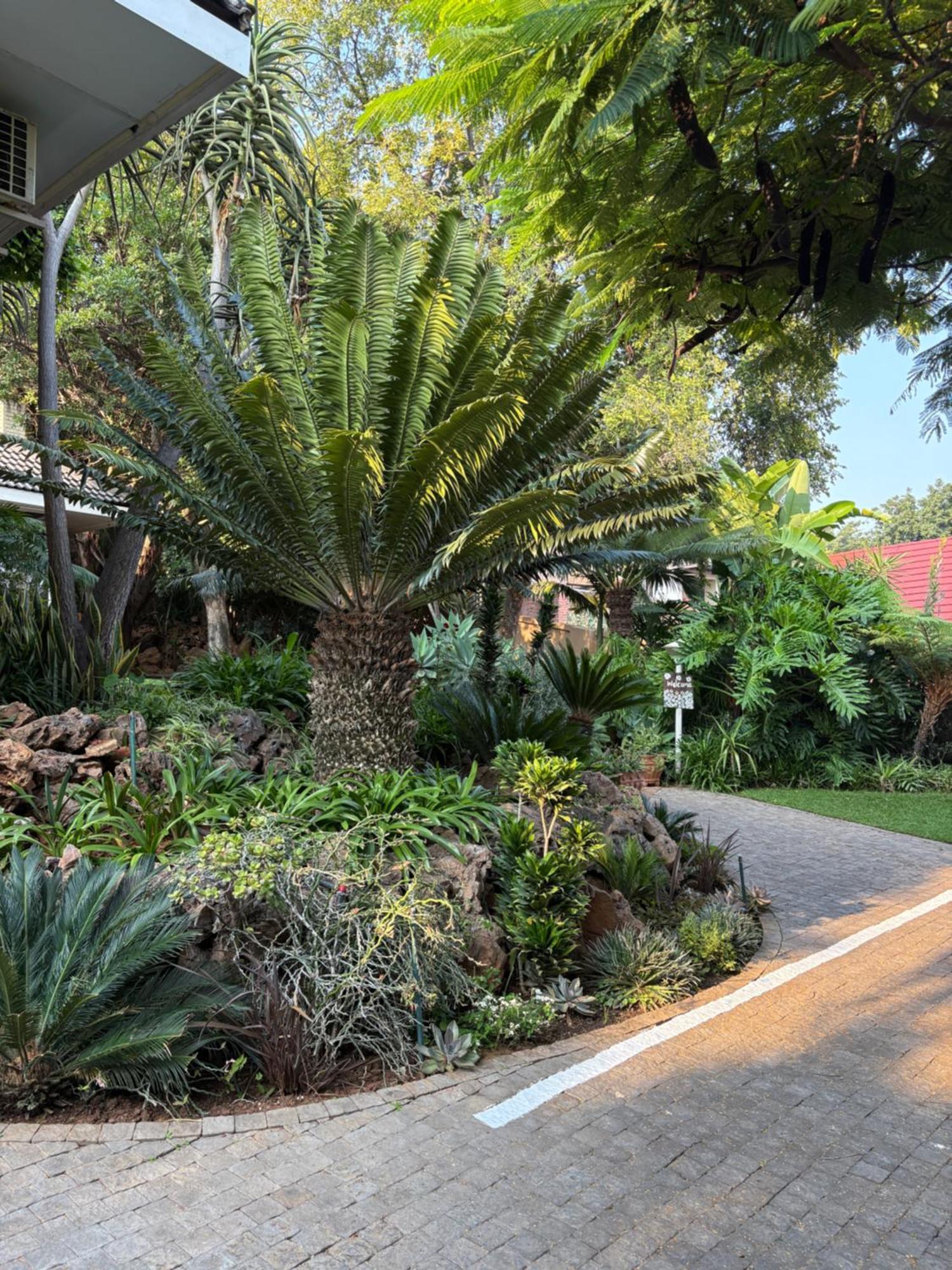 Luxury Upmarket Guesthouse 20 On 4Th Rustenburg Kültér fotó